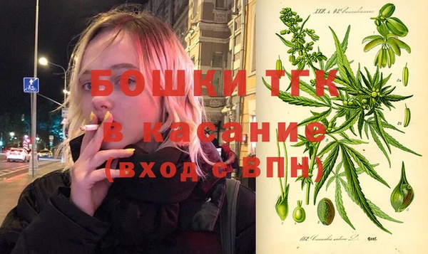 прущие грибы Покровск