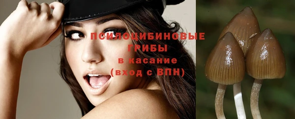 прущие грибы Покачи