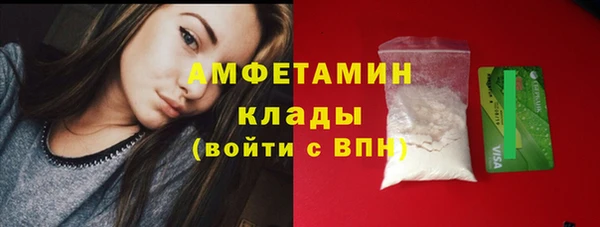 прущие грибы Покачи