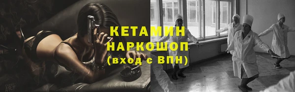 прущие грибы Покровск