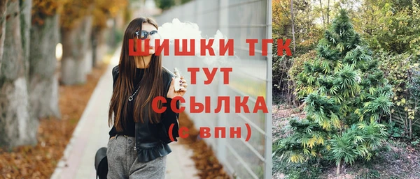 прущие грибы Покачи