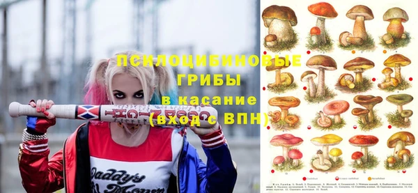 синтетический гашиш Пролетарск