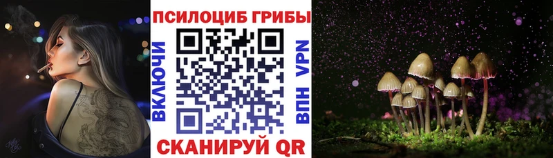 купить  сайты  Унеча  сайты даркнета формула  Галлюциногенные грибы ЛСД 