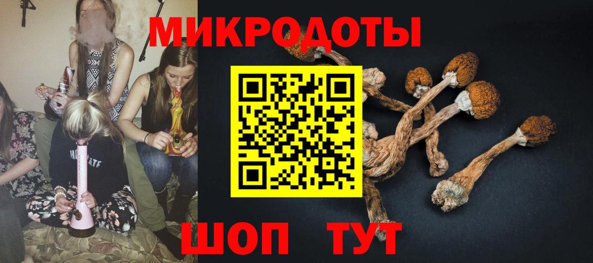 Псилоцибиновые грибы Magic Shrooms  Вход с VPN  Унеча 