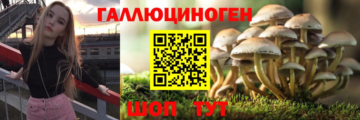 Галлюциногенные грибы мухоморы Унеча