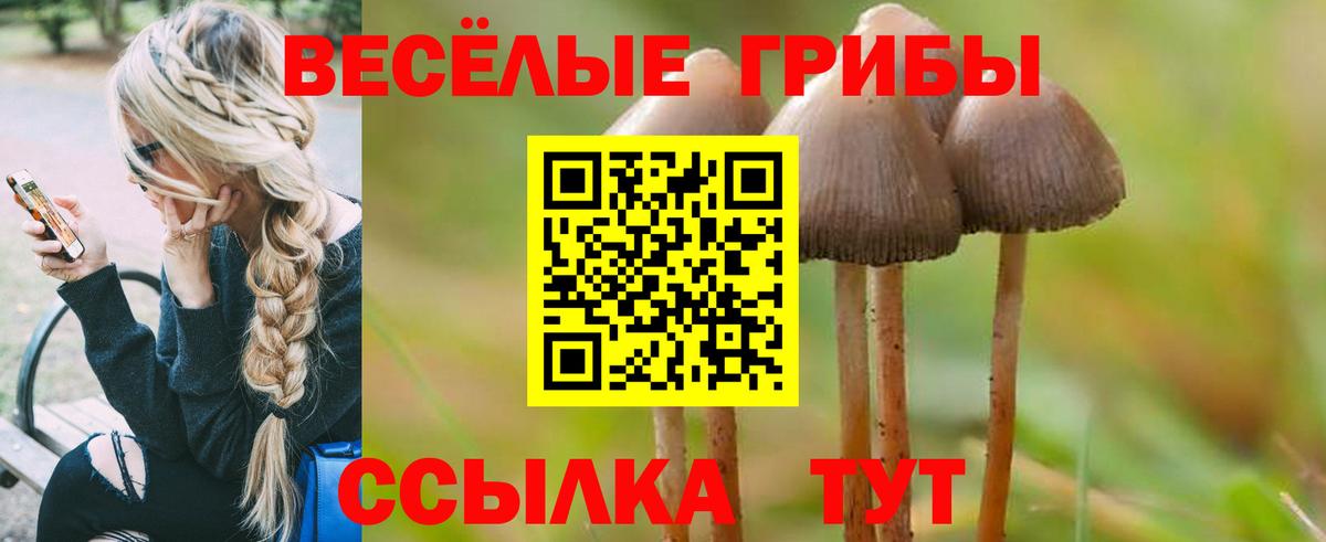 Псилоцибиновые грибы Psilocybe  Галлюциногенные грибы мухоморы  Унеча 